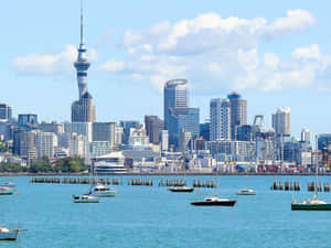 Auckland Skylineand Harbor New Zealand Wallpaper