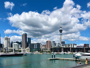 Auckland Skylineand Marina Wallpaper