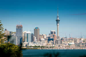 Auckland Skylinewith Sky Tower Wallpaper