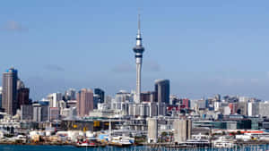 Auckland Skylinewith Sky Tower Wallpaper