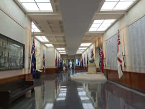 Auckland War Memorial Museum Hallof Memories Wallpaper