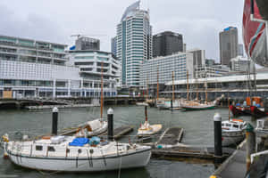 Auckland Waterfront Maritime Museum Wallpaper