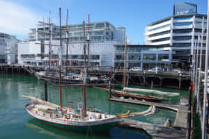 Auckland Waterfront Sailing Vessels Wallpaper