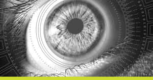 Audacious Eye Wallpaper