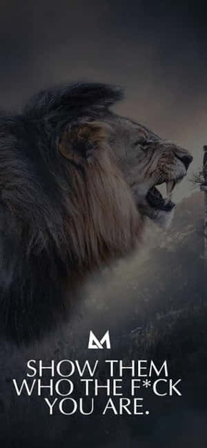 Audacious Lion Wallpaper