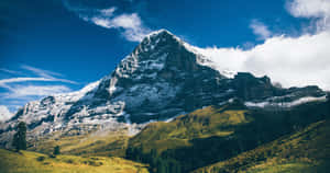 Audacious Mountain Wallpaper