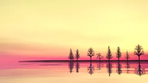 Audacious Scenery Wallpaper