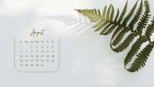 August Calendar Fern Shadow Desktop Background Wallpaper