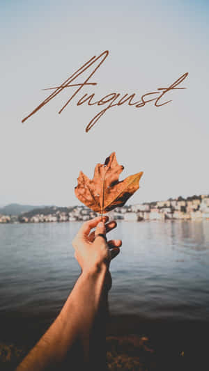 August Leafby Waterfront.jpg Wallpaper