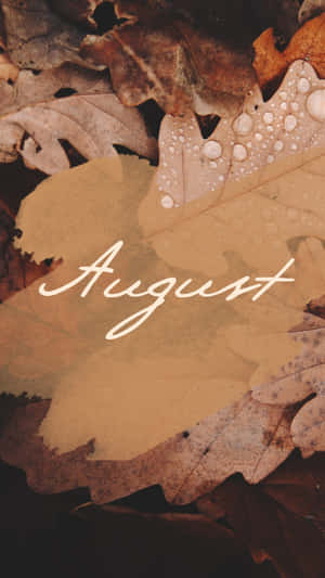 August Leaves Water Droplets Aesthetic Wallpaper