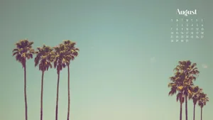 August Palm Trees Calendar Background Wallpaper