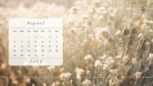August2023 Calendar Background Wallpaper
