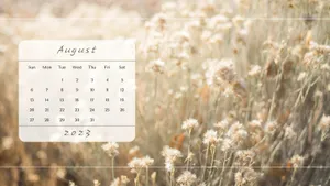 August2023 Calendar Background Wallpaper