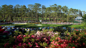 Augusta National Golf Course Garden Wallpaper