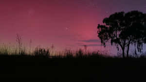 Aurora Australis Night Sky Wallpaper