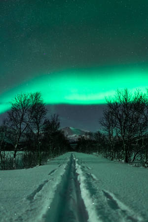 Aurora Borealis Green Iphone Wallpaper