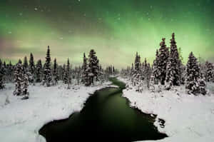 Aurora Borealis Kiruna Winter Nightscape.jpg Wallpaper