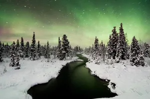 Aurora Borealis Kiruna Winter Nightscape.jpg Wallpaper