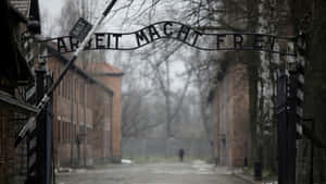 Auschwitz Birkenau Arbeit Macht Frei 2021 Wallpaper