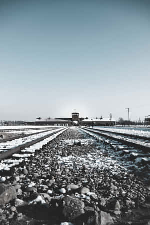 Auschwitz Birkenau Concentration Camp Aesthetic Portrait Wallpaper