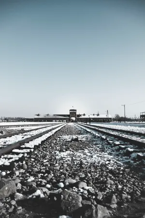 Auschwitz Birkenau Concentration Camp Aesthetic Portrait Wallpaper