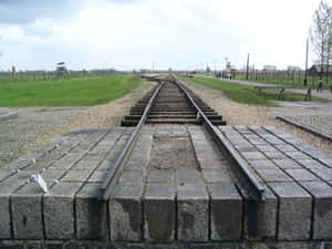 Auschwitz Birkenau Concentration Camp Outdoor Railway Track Wallpaper