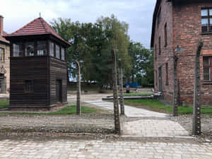 Auschwitz Birkenau State Museum Fence Wallpaper