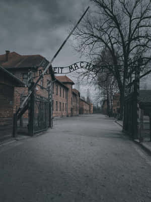 Auschwitz Concentration Camp Gate Dramatic Filter Wallpaper