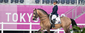 Australian Equestrian 2020 Tokyo Olmpics Wallpaper