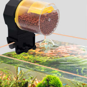 Automatic Fish Feeder Wallpaper