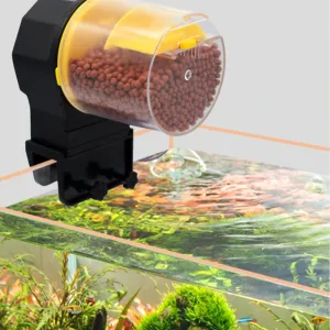 Automatic Fish Feeder Wallpaper