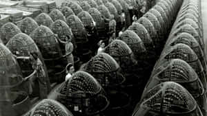 Automation At Its Finest - A Look Inside A 21st Century Manufacturing Plant Wallpaper