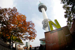 Autumn_at_ Namsan_ Seoul_ Tower Wallpaper