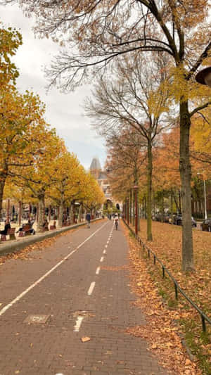 Autumn Bike Lane Cityscape.jpg Wallpaper