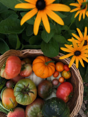 Autumn Bounty 2500 X 3333 Wallpaper Wallpaper