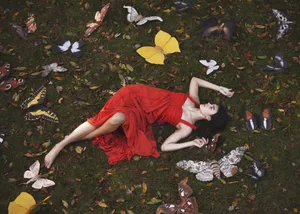 Autumn_ Butterfly_ Elegance Wallpaper