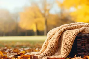 Autumn Comfort Basket And Blanket.jpg Wallpaper