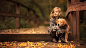 Autumn_ Companionship.jpg Wallpaper