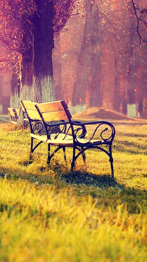 Autumn Empty Bench Nature Android Hd Wallpaper