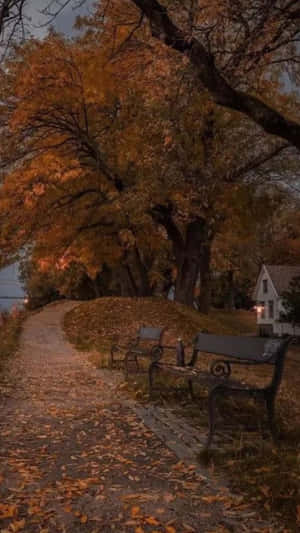 Autumn Evening Park Path.jpg Wallpaper