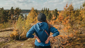 Autumn Foliage On A Hiking Trail Wallpaper