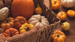 Autumn Harvest Pumpkin Basket Wallpaper