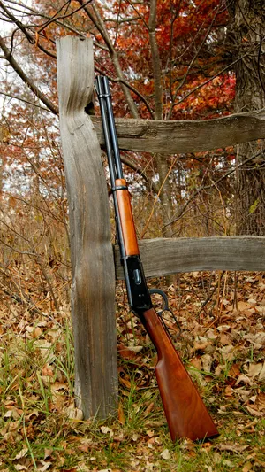 Autumn Hunting Rifle Leaningon Fence Wallpaper