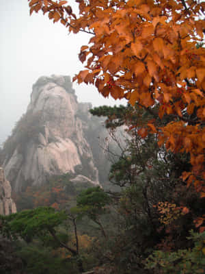 Autumn_in_ Bukhansan_ National_ Park Wallpaper