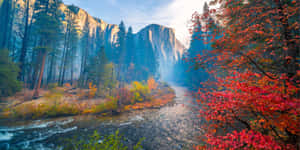 Autumn_in_ Yosemite_ National_ Park Wallpaper