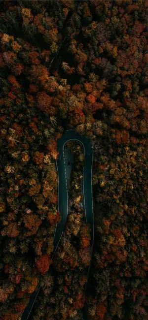 Autumn Iphone Salzburg Curved Road Wallpaper