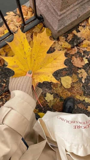 Autumn Leaf_ Grunge Aesthetic.jpg Wallpaper