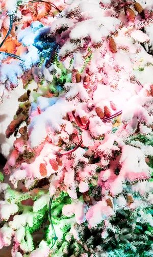 Autumn Leaves And Sunlit Sky Over A Peaceful River Wallpaper