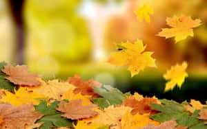 Autumn Leaves Blanketing The Forest Ground Wallpaper