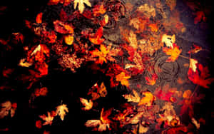 Autumn_ Leaves_in_ Water Wallpaper